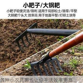 各种小农具哪些让你干活效率更高第2张-蔬菜基地绿色种植产业带