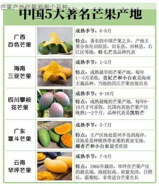 芒果产地你最爱哪个品种第1张-蔬菜基地绿色种植产业带 芒果产地你最爱哪个品种