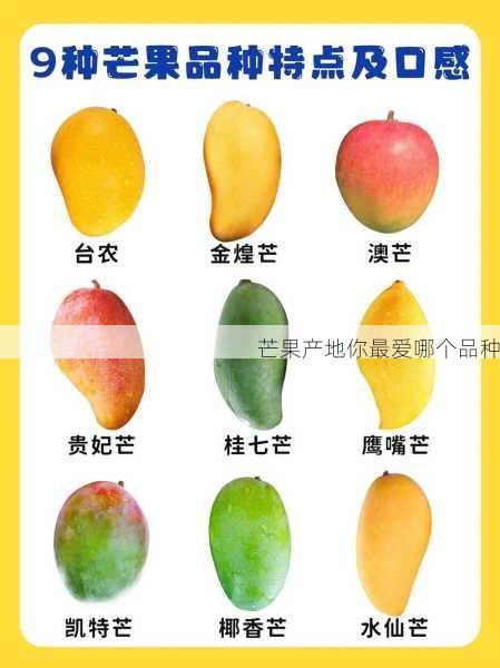 芒果产地你最爱哪个品种第2张-蔬菜基地绿色种植产业带 芒果产地你最爱哪个品种