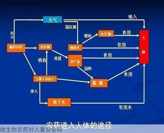 微生物农药对人畜安全吗第2张-蔬菜基地绿色种植产业带 微生物农药对人畜安全吗