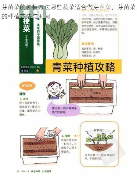 芽苗菜的种植方法哪些蔬菜适合做芽苗菜,芽苗菜的种植方法与时间第1张-蔬菜基地绿色种植产业带 芽苗菜的种植方法哪些蔬菜适合做芽苗菜,芽苗菜的种植方法与时间