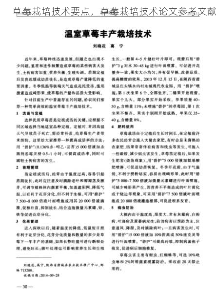 草莓栽培技术要点,草莓栽培技术论文参考文献第1张-蔬菜基地绿色种植产业带 草莓栽培技术要点,草莓栽培技术论文参考文献