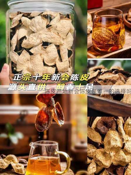 陈皮产地新会陈皮是唯一的选择吗第2张-蔬菜基地绿色种植产业带 陈皮产地新会陈皮是唯一的选择吗