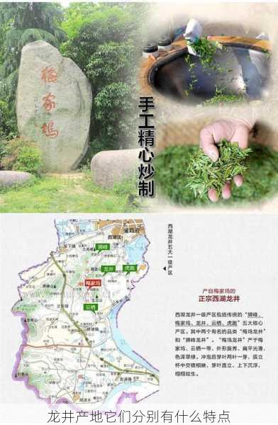 龙井产地它们分别有什么特点第2张-蔬菜基地绿色种植产业带