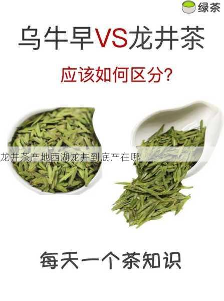 龙井茶产地西湖龙井到底产在哪第1张-蔬菜基地绿色种植产业带 龙井茶产地西湖龙井到底产在哪