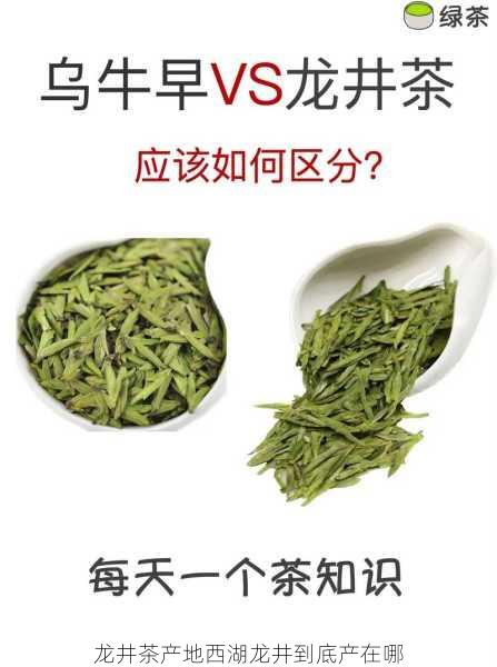 龙井茶产地西湖龙井到底产在哪第2张-蔬菜基地绿色种植产业带 龙井茶产地西湖龙井到底产在哪