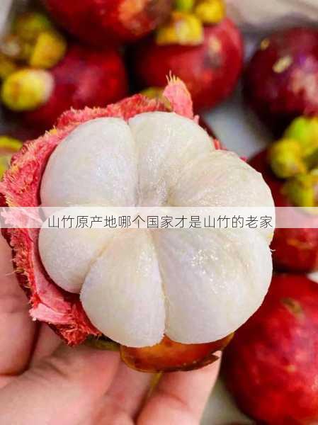 山竹原产地哪个国家才是山竹的老家第2张-蔬菜基地绿色种植产业带 山竹原产地哪个国家才是山竹的老家