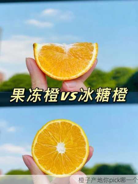 橙子产地你pick哪一个第2张-蔬菜基地绿色种植产业带 橙子产地你pick哪一个