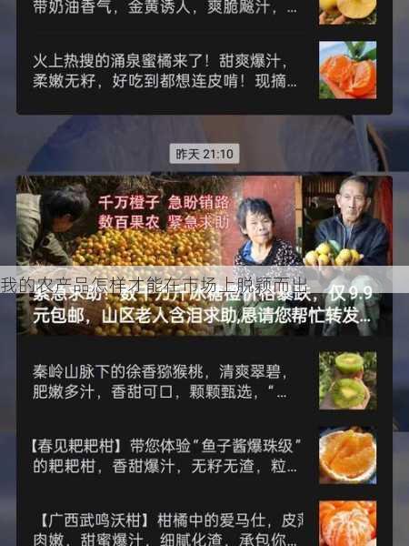 我的农产品怎样才能在市场上脱颖而出第1张-蔬菜基地绿色种植产业带 我的农产品怎样才能在市场上脱颖而出