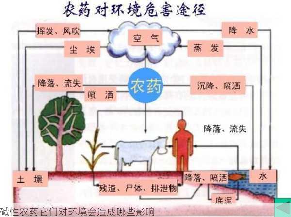 碱性农药它们对环境会造成哪些影响第1张-蔬菜基地绿色种植产业带 碱性农药它们对环境会造成哪些影响