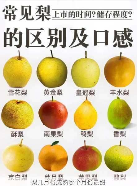 梨几月份成熟哪个月份最甜第2张-蔬菜基地绿色种植产业带 梨几月份成熟哪个月份最甜