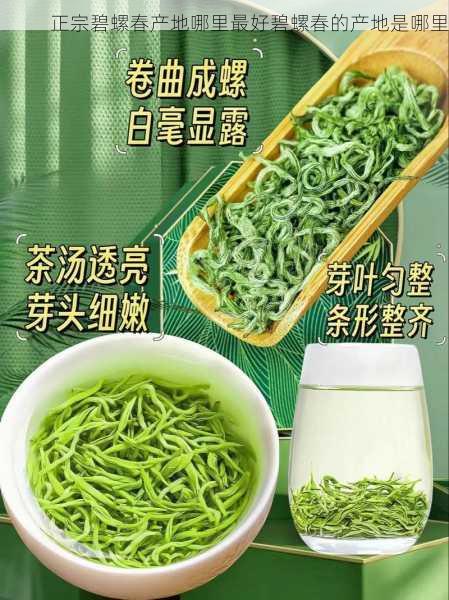 正宗碧螺春产地哪里最好碧螺春的产地是哪里第2张-蔬菜基地绿色种植产业带 正宗碧螺春产地哪里最好碧螺春的产地是哪里