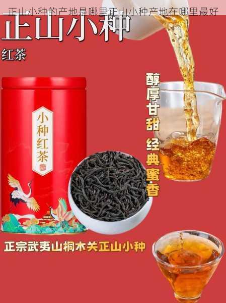 正山小种的产地是哪里正山小种产地在哪里最好第1张-蔬菜基地绿色种植产业带 正山小种的产地是哪里正山小种产地在哪里最好