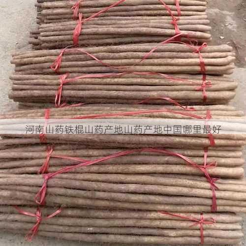 河南山药铁棍山药产地山药产地中国哪里最好第1张-蔬菜基地绿色种植产业带 河南山药铁棍山药产地山药产地中国哪里最好