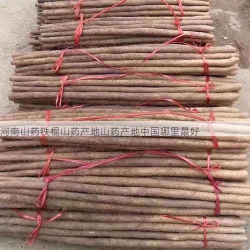 河南山药铁棍山药产地山药产地中国哪里最好第2张-蔬菜基地绿色种植产业带 河南山药铁棍山药产地山药产地中国哪里最好