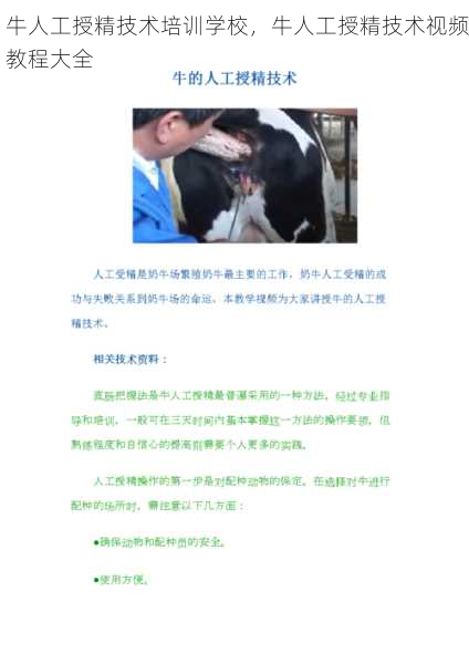 牛人工授精技术培训学校,牛人工授精技术视频教程大全第1张-蔬菜基地绿色种植产业带 牛人工授精技术培训学校,牛人工授精技术视频教程大全