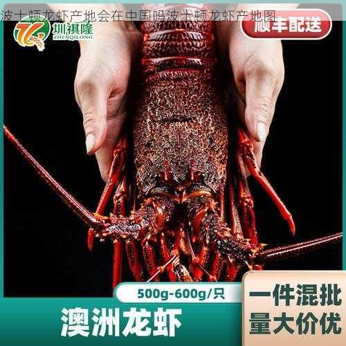波士顿龙虾产地会在中国吗波士顿龙虾产地图第2张-蔬菜基地绿色种植产业带 波士顿龙虾产地会在中国吗波士顿龙虾产地图