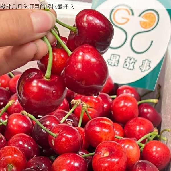 樱桃几月份哪里的樱桃最好吃第1张-蔬菜基地绿色种植产业带 樱桃几月份哪里的樱桃最好吃