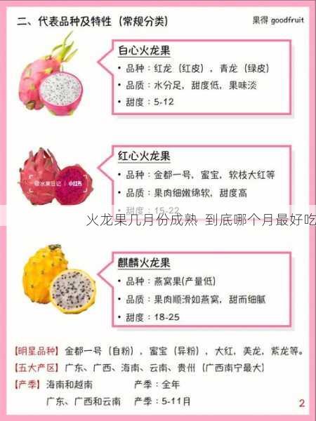火龙果几月份成熟  到底哪个月最好吃第2张-蔬菜基地绿色种植产业带