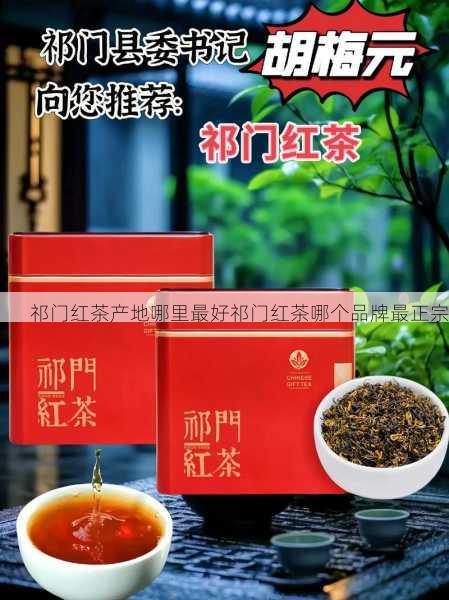 祁门红茶产地哪里最好祁门红茶哪个品牌最正宗第1张-蔬菜基地绿色种植产业带 祁门红茶产地哪里最好祁门红茶哪个品牌最正宗