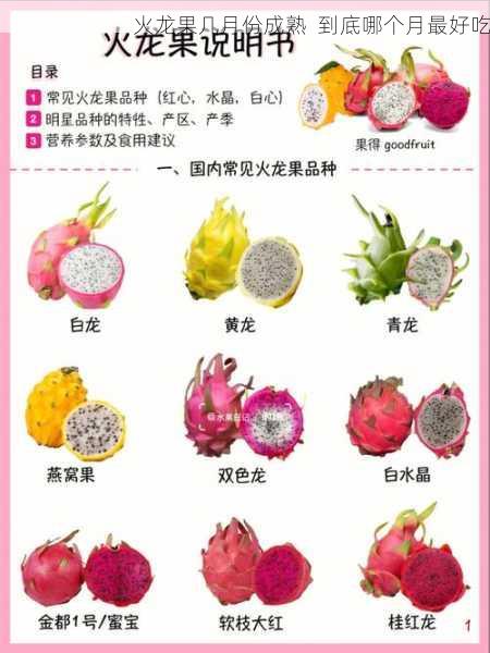 火龙果几月份成熟  到底哪个月最好吃第1张-蔬菜基地绿色种植产业带