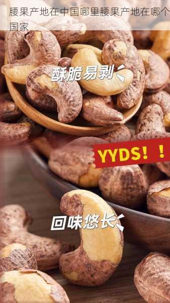 腰果产地在中国哪里腰果产地在哪个国家第2张-蔬菜基地绿色种植产业带 腰果产地在中国哪里腰果产地在哪个国家