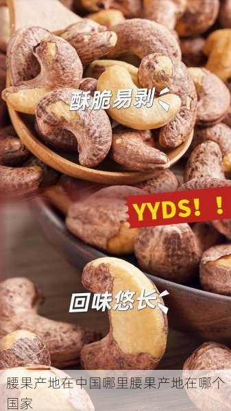 腰果产地在中国哪里腰果产地在哪个国家第1张-蔬菜基地绿色种植产业带 腰果产地在中国哪里腰果产地在哪个国家