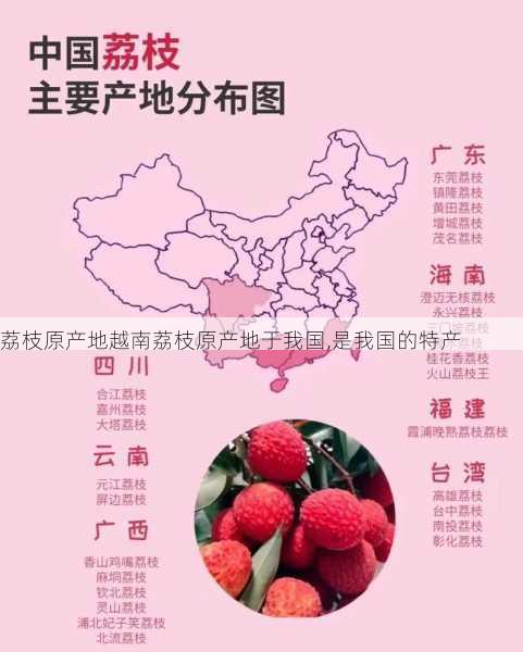 荔枝原产地越南荔枝原产地于我国,是我国的特产第2张-蔬菜基地绿色种植产业带 荔枝原产地越南荔枝原产地于我国,是我国的特产