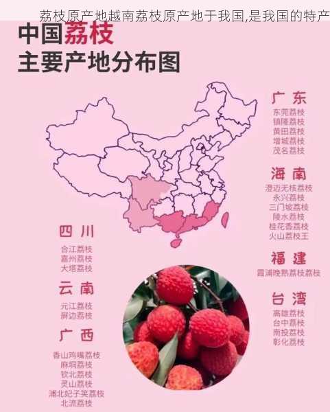 荔枝原产地越南荔枝原产地于我国,是我国的特产第1张-蔬菜基地绿色种植产业带 荔枝原产地越南荔枝原产地于我国,是我国的特产