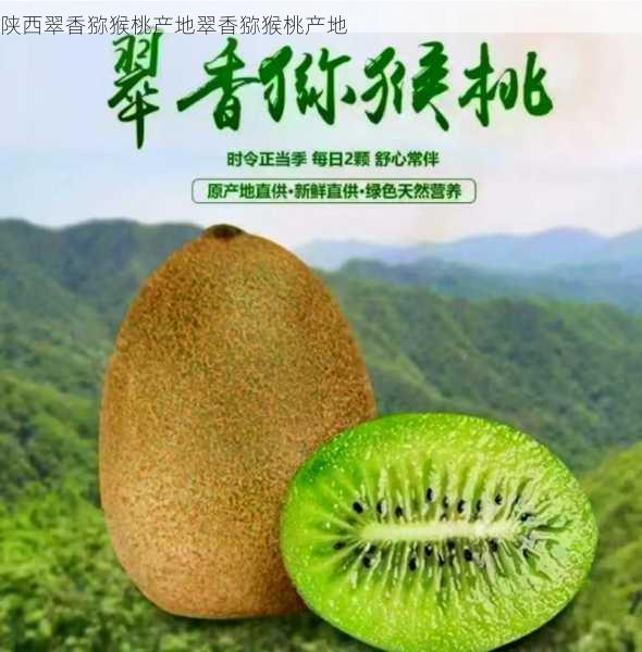 陕西翠香猕猴桃产地翠香猕猴桃产地第2张-蔬菜基地绿色种植产业带 陕西翠香猕猴桃产地翠香猕猴桃产地