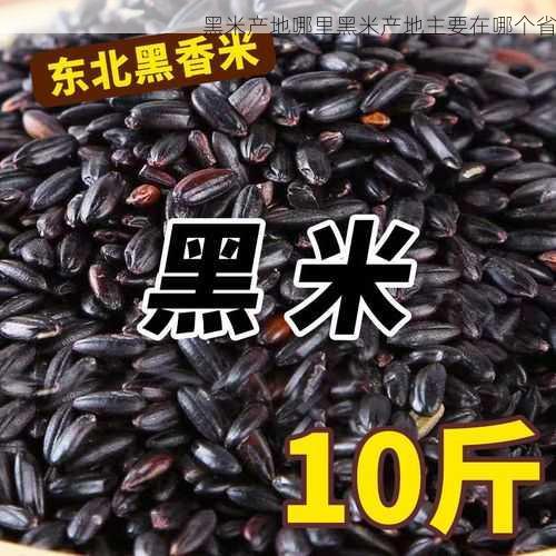 黑米产地哪里黑米产地主要在哪个省第2张-蔬菜基地绿色种植产业带 黑米产地哪里黑米产地主要在哪个省