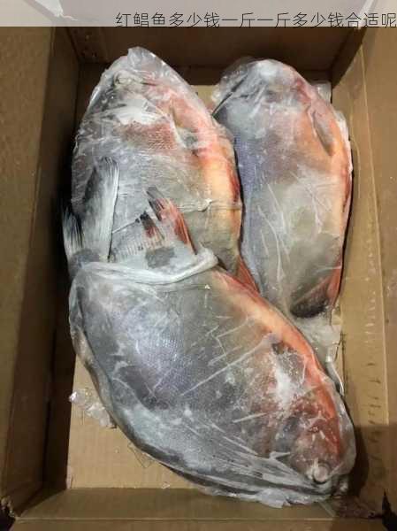 红鲳鱼多少钱一斤一斤多少钱合适呢第2张-蔬菜基地绿色种植产业带