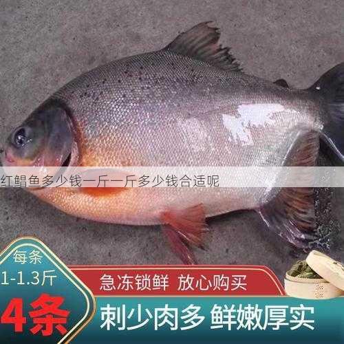 红鲳鱼多少钱一斤一斤多少钱合适呢第1张-蔬菜基地绿色种植产业带