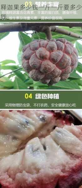 释迦果多少钱一斤一斤要多少钱第1张-蔬菜基地绿色种植产业带