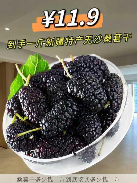 桑葚干多少钱一斤到底该买多少钱一斤第2张-蔬菜基地绿色种植产业带 桑葚干多少钱一斤到底该买多少钱一斤