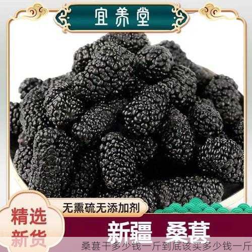 桑葚干多少钱一斤到底该买多少钱一斤第1张-蔬菜基地绿色种植产业带 桑葚干多少钱一斤到底该买多少钱一斤