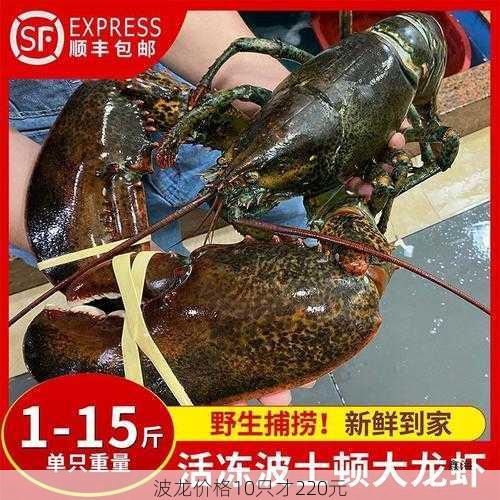 波龙价格10只才220元第2张-蔬菜基地绿色种植产业带 波龙价格10只才220元