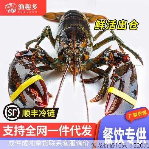 波龙价格10只才220元第1张-蔬菜基地绿色种植产业带 波龙价格10只才220元