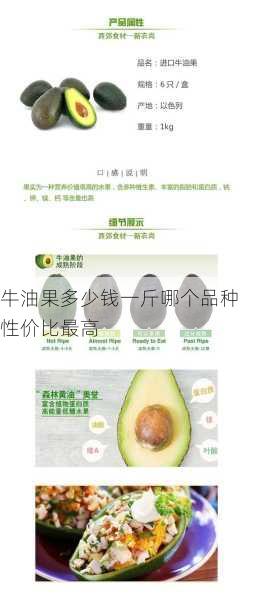 牛油果多少钱一斤哪个品种性价比最高第2张-蔬菜基地绿色种植产业带