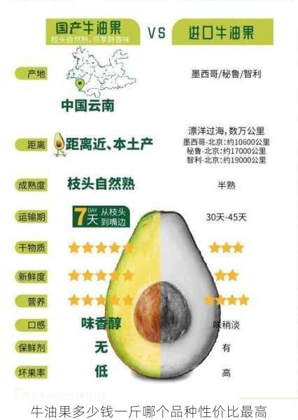 牛油果多少钱一斤哪个品种性价比最高第1张-蔬菜基地绿色种植产业带