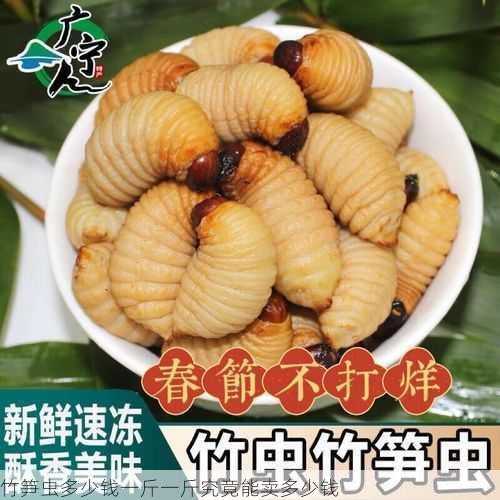 竹笋虫多少钱一斤一斤究竟能卖多少钱第2张-蔬菜基地绿色种植产业带 竹笋虫多少钱一斤一斤究竟能卖多少钱