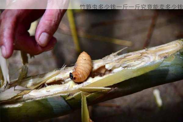 竹笋虫多少钱一斤一斤究竟能卖多少钱第1张-蔬菜基地绿色种植产业带 竹笋虫多少钱一斤一斤究竟能卖多少钱