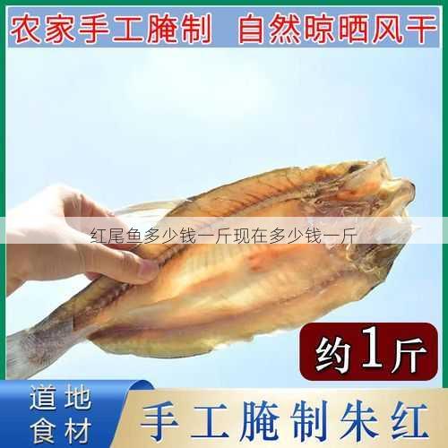 红尾鱼多少钱一斤现在多少钱一斤第1张-蔬菜基地绿色种植产业带 红尾鱼多少钱一斤现在多少钱一斤