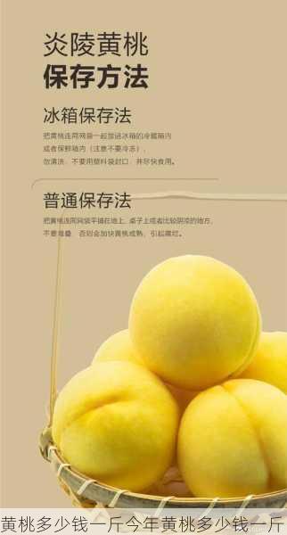 黄桃多少钱一斤今年黄桃多少钱一斤第2张-蔬菜基地绿色种植产业带 黄桃多少钱一斤今年黄桃多少钱一斤
