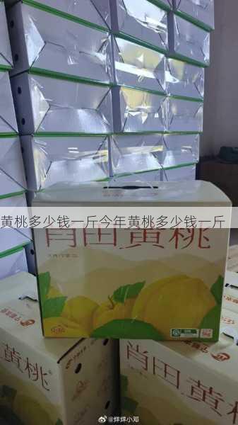 黄桃多少钱一斤今年黄桃多少钱一斤第1张-蔬菜基地绿色种植产业带 黄桃多少钱一斤今年黄桃多少钱一斤