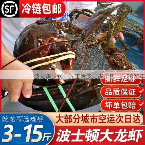 波龙多少钱一斤正常波龙多少钱一斤2020年第1张-蔬菜基地绿色种植产业带 波龙多少钱一斤正常波龙多少钱一斤2020年