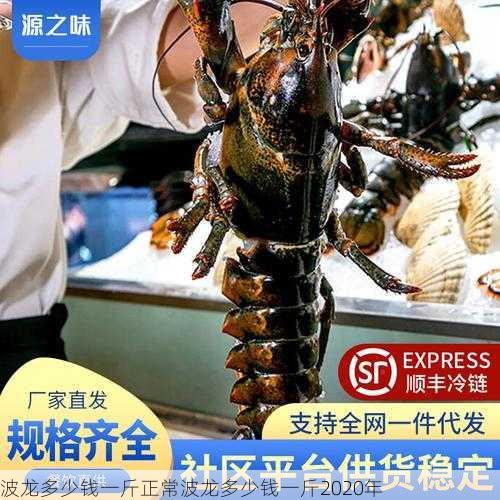 波龙多少钱一斤正常波龙多少钱一斤2020年第2张-蔬菜基地绿色种植产业带 波龙多少钱一斤正常波龙多少钱一斤2020年