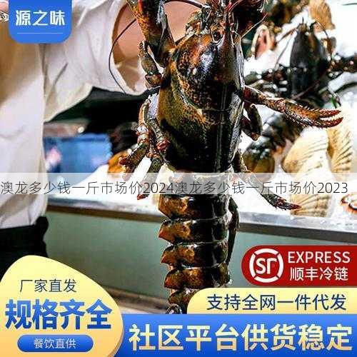 澳龙多少钱一斤市场价2024澳龙多少钱一斤市场价2023第1张-蔬菜基地绿色种植产业带 澳龙多少钱一斤市场价2024澳龙多少钱一斤市场价2023