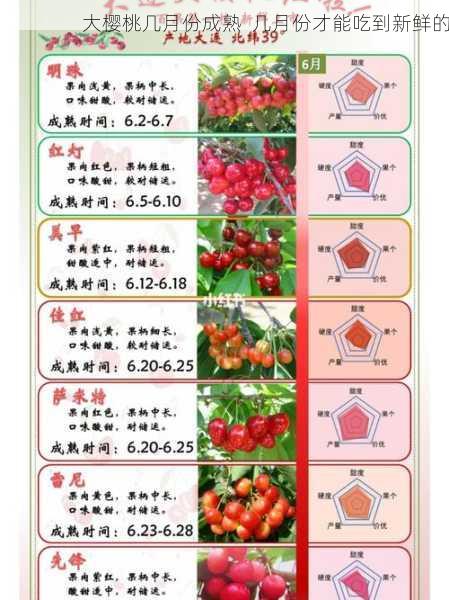 大樱桃几月份成熟 几月份才能吃到新鲜的第1张-蔬菜基地绿色种植产业带 大樱桃几月份成熟 几月份才能吃到新鲜的
