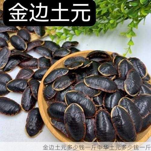 金边土元多少钱一斤中华土元多少钱一斤第1张-蔬菜基地绿色种植产业带 金边土元多少钱一斤中华土元多少钱一斤